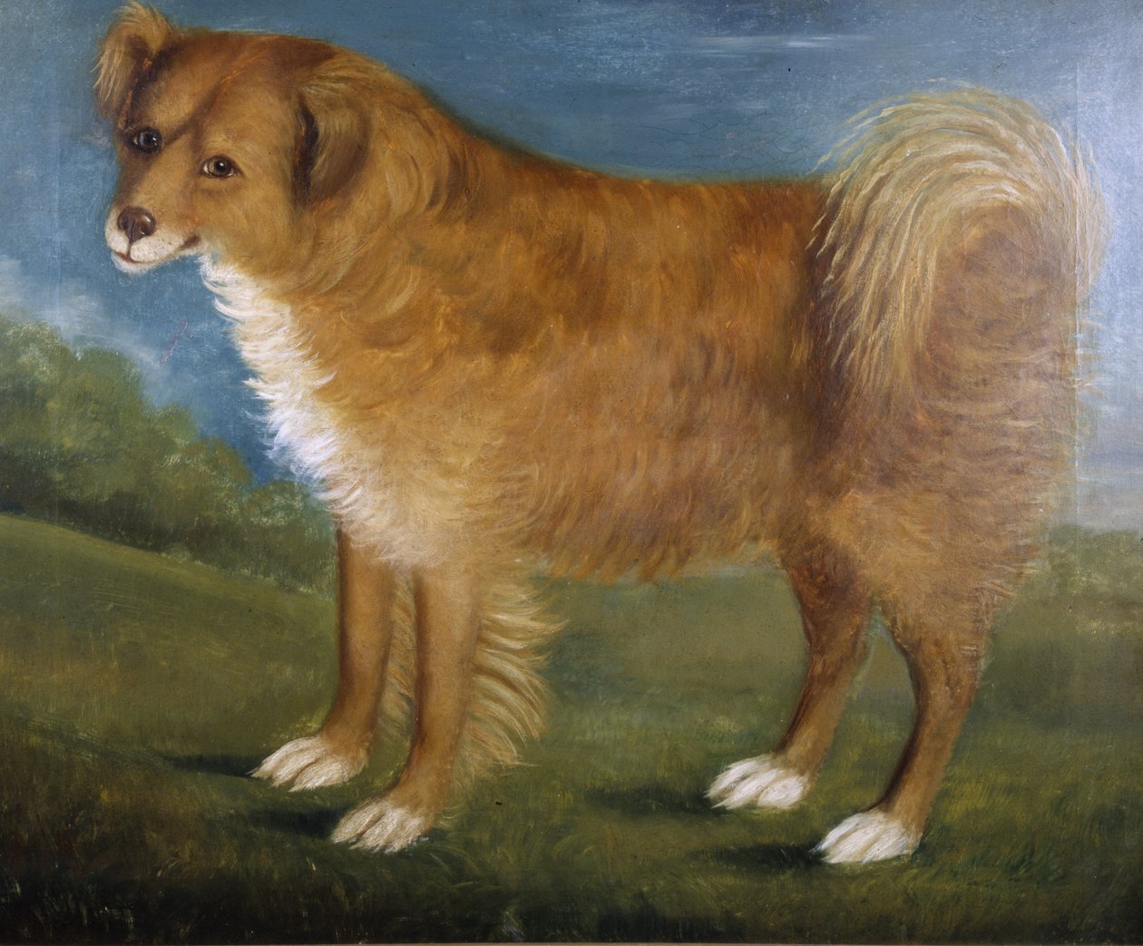Brown Dog in a Landscape, ca. 1850 (olje på lerret) av Unknown artist