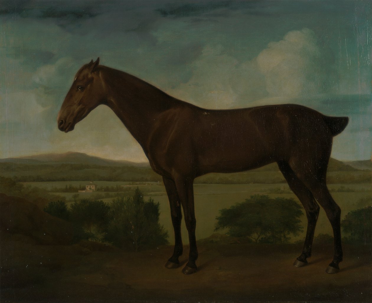 Brun hest i et kupert landskap av Unknown artist