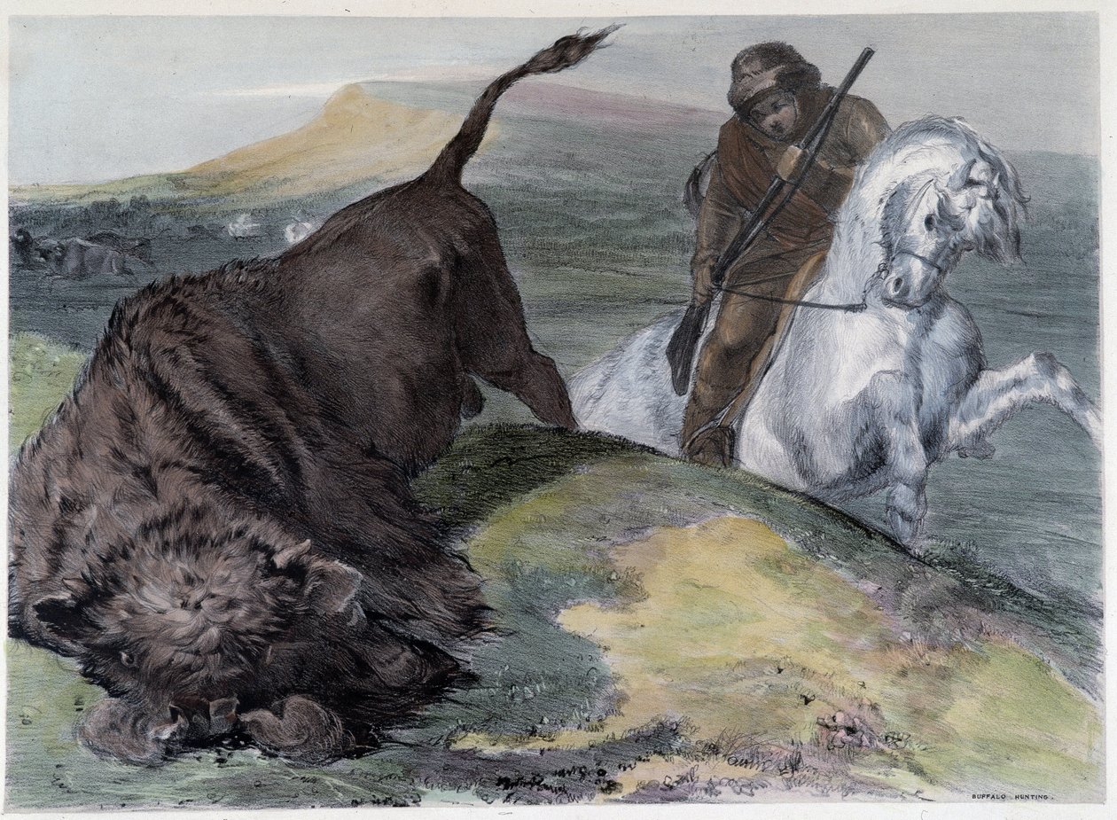 Kanadiske Huron Buffalo Hunt - i "" Shyths sketcher in the Canadas"" av Coke Smyth, London av Unknown artist
