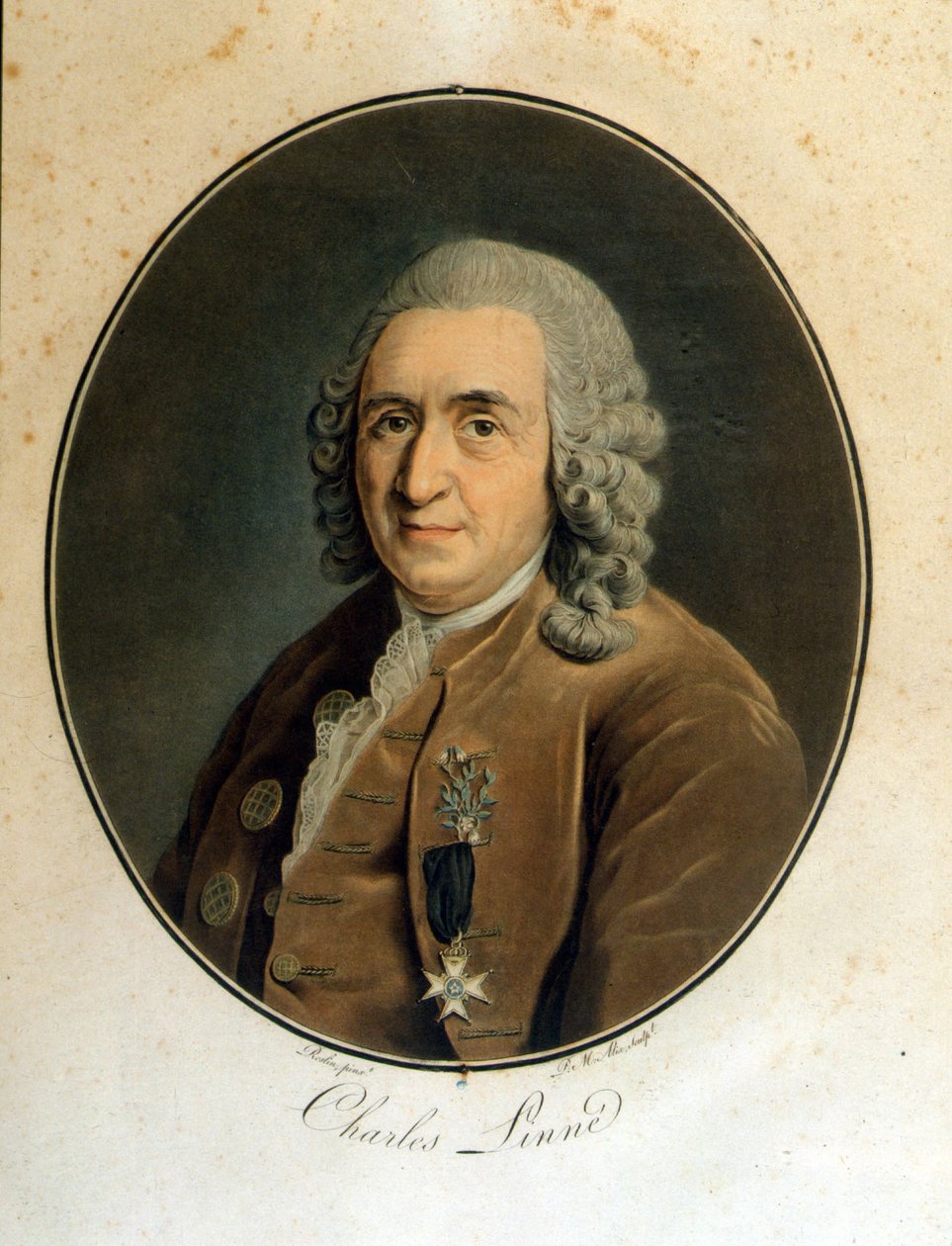 Carl Von Linné svensk naturforsker og forfatter (1707 - 1778) av Unknown artist