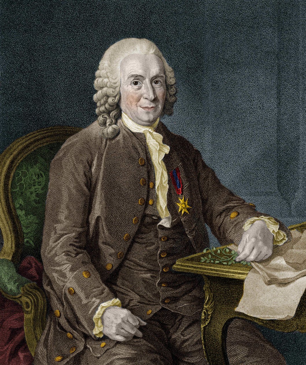Carl Von Linné svensk naturforsker og forfatter (1707 - 1778). av Unknown artist