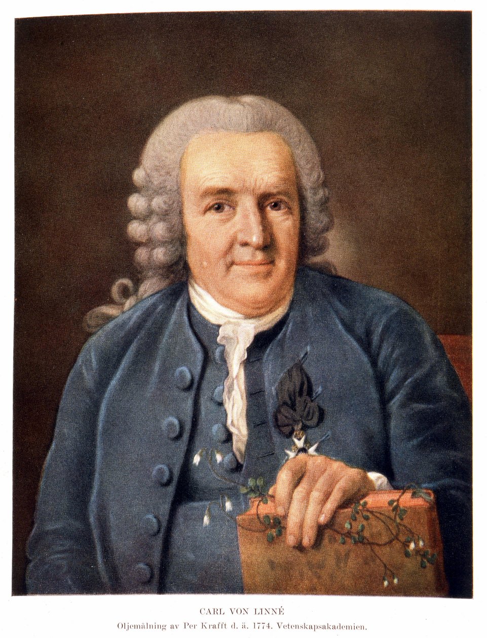 Carl Von Linné svensk naturforsker og forfatter av Unknown artist