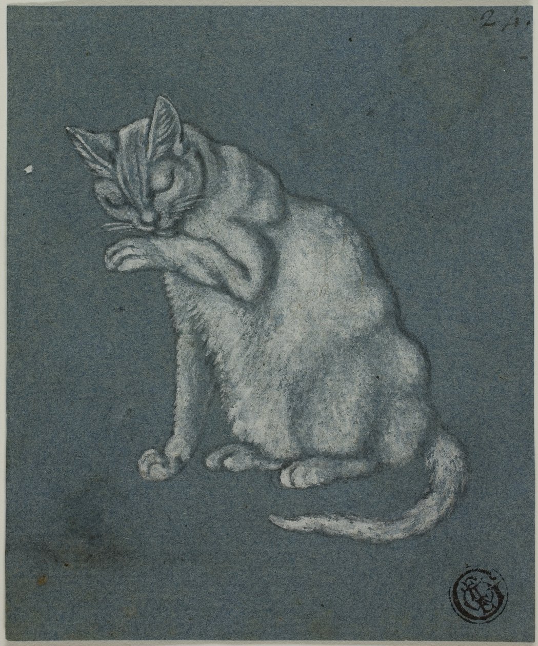 Katt slikker pote av Unknown artist