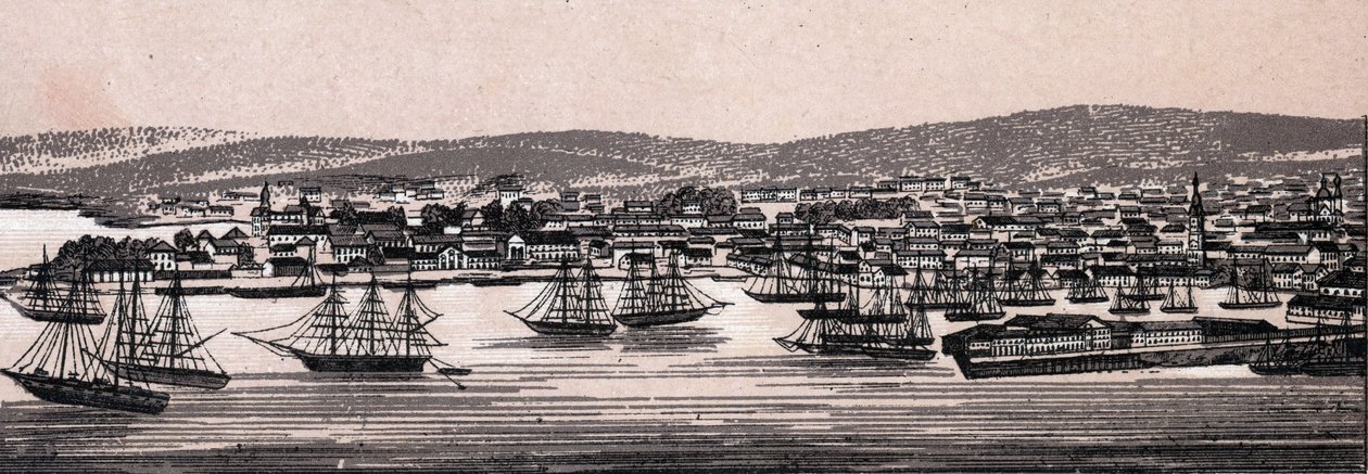 Christiania, Denmark: view of the city (General View). in “” The world illustrates 168 views”” Undated (end of 19th century) av Unknown artist