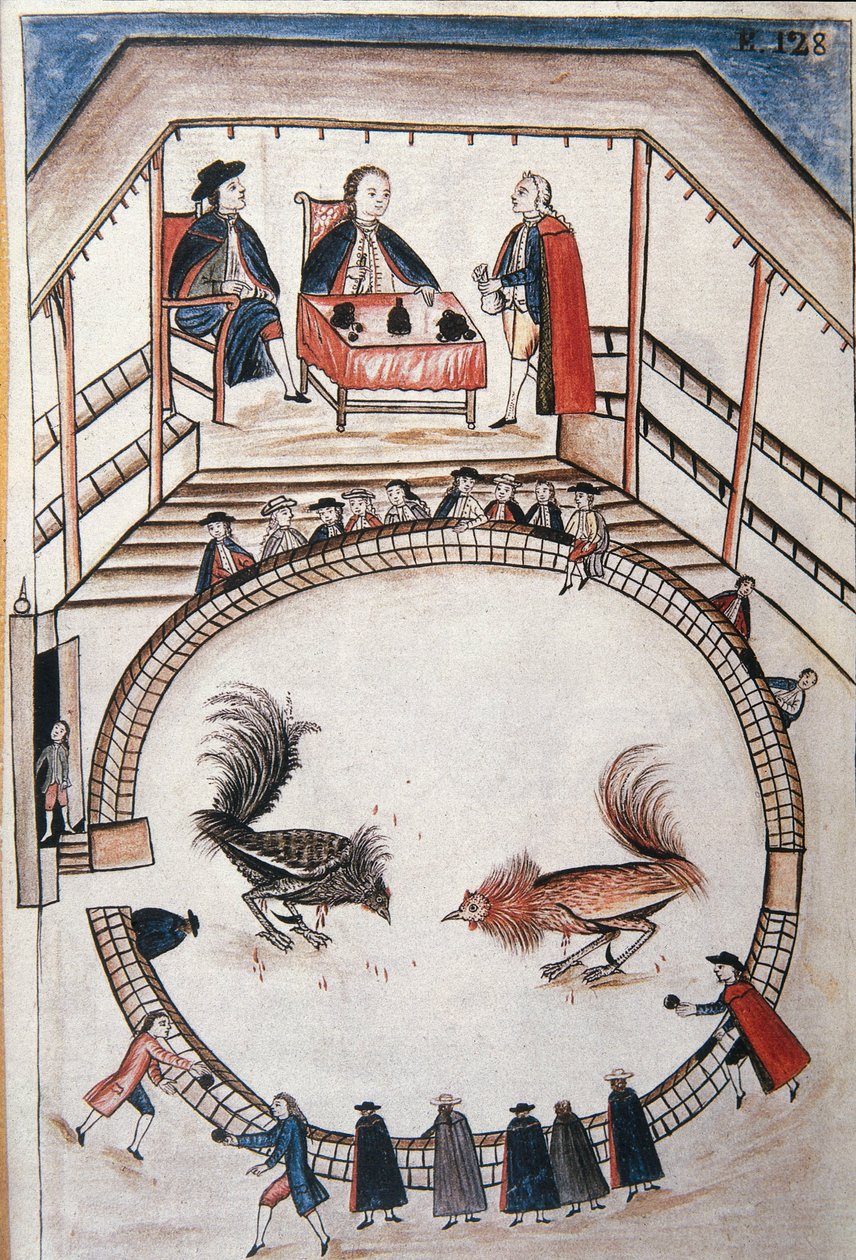 Hanekamp, ​​en adel deltar i duellen, fra boken "Trujillo del Peru" eller "Códice Martínez Compañón", av Baltazar Martinez Compañón y Bujanda, biskop av Trujillo (1782-1785) av Unknown artist