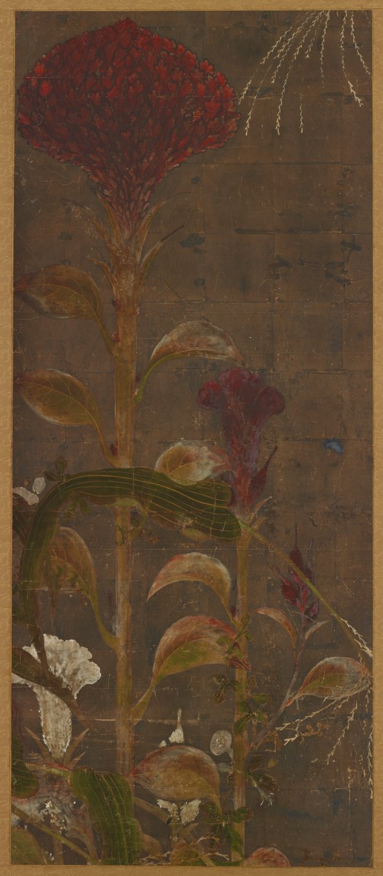Coxcombs, mais og morning glories av Unknown artist