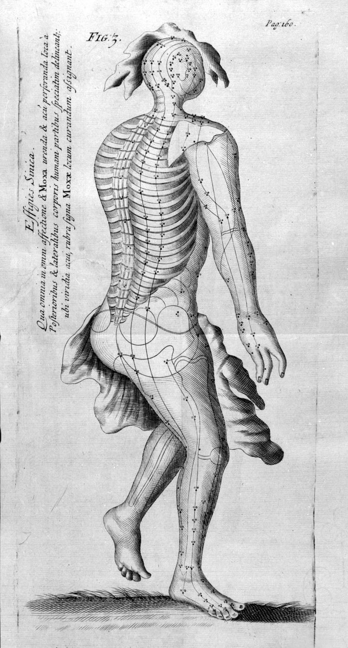 De Acupunctura av W.Ten Rhijn. London 1683. Første vestlige tekst som omhandler akupunktur. av Unknown artist