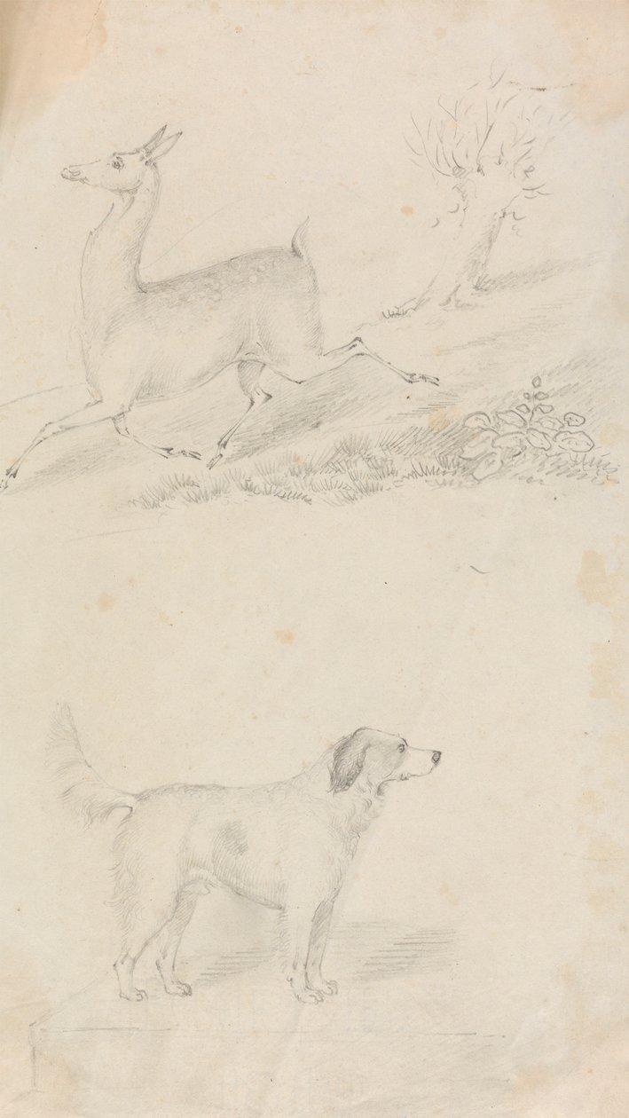 Hjort og hund av Unknown artist