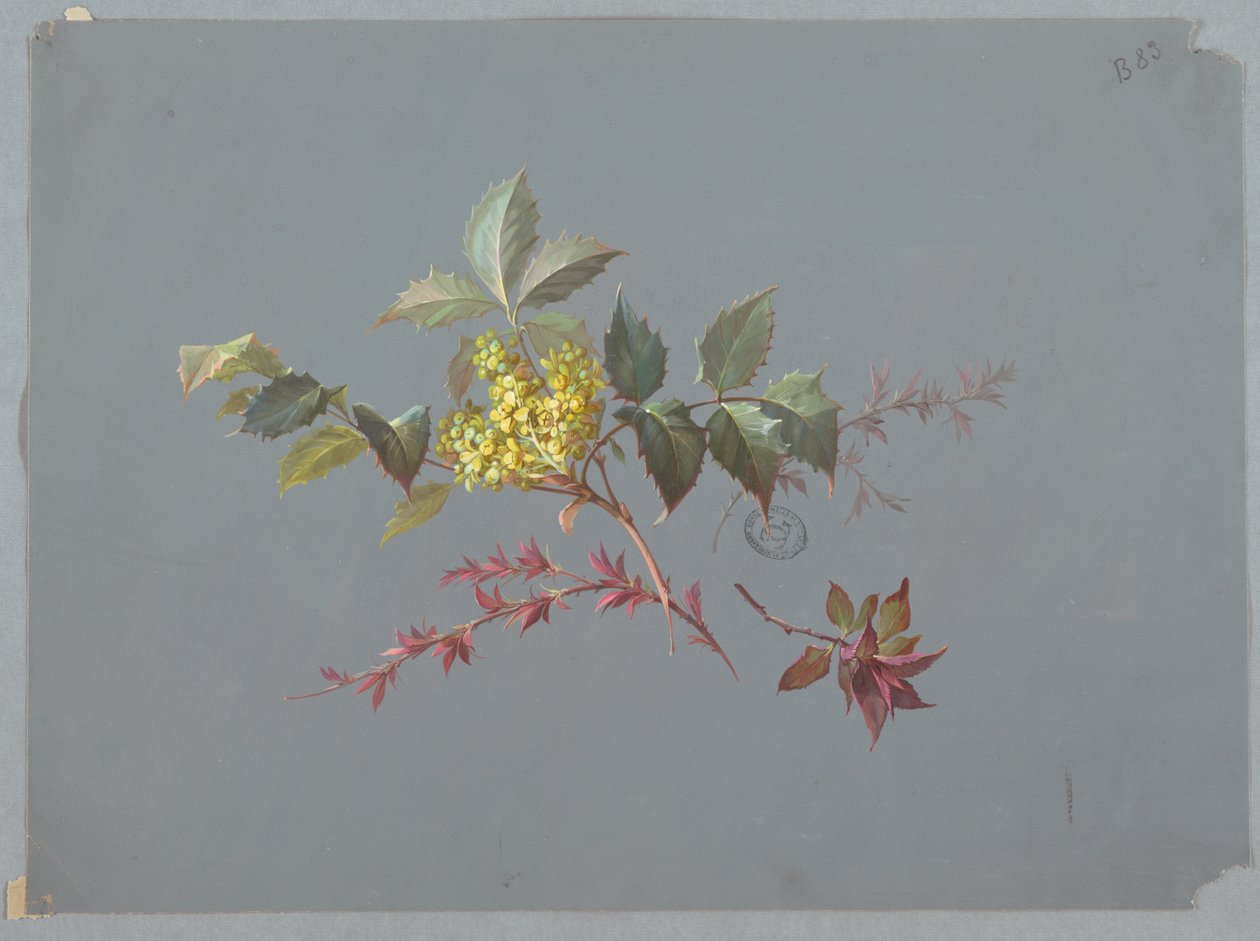 Design for tapet og tekstiler: Blomster av Unknown artist