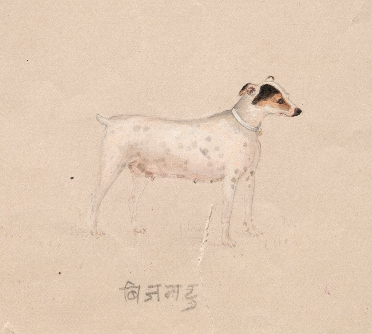Hund av Unknown artist
