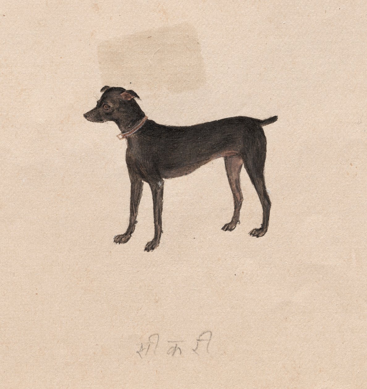 Hund av Unknown artist