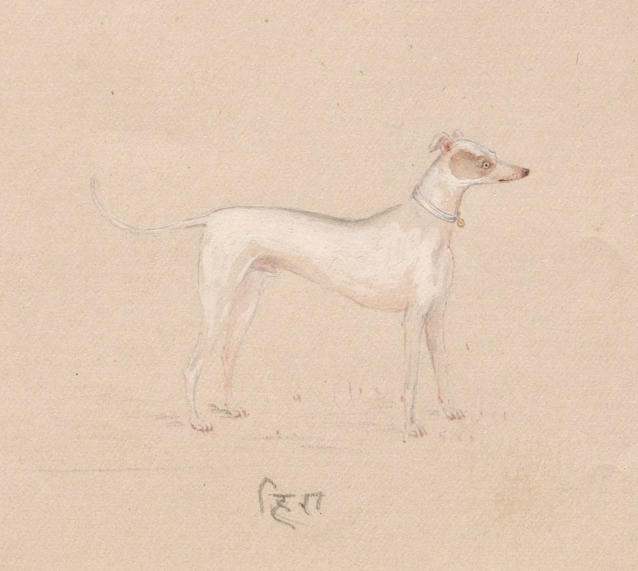 Hund av Unknown artist