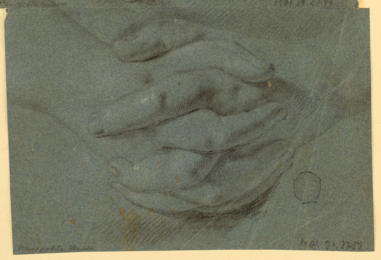 Tegning: Et studie for foldede hender av Unknown artist