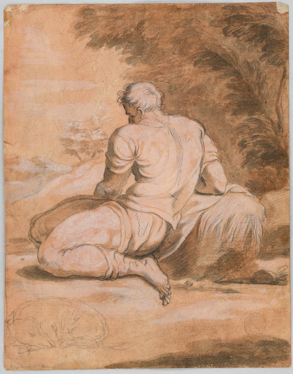 Tegnestudie: Narcissus (?) av Unknown artist