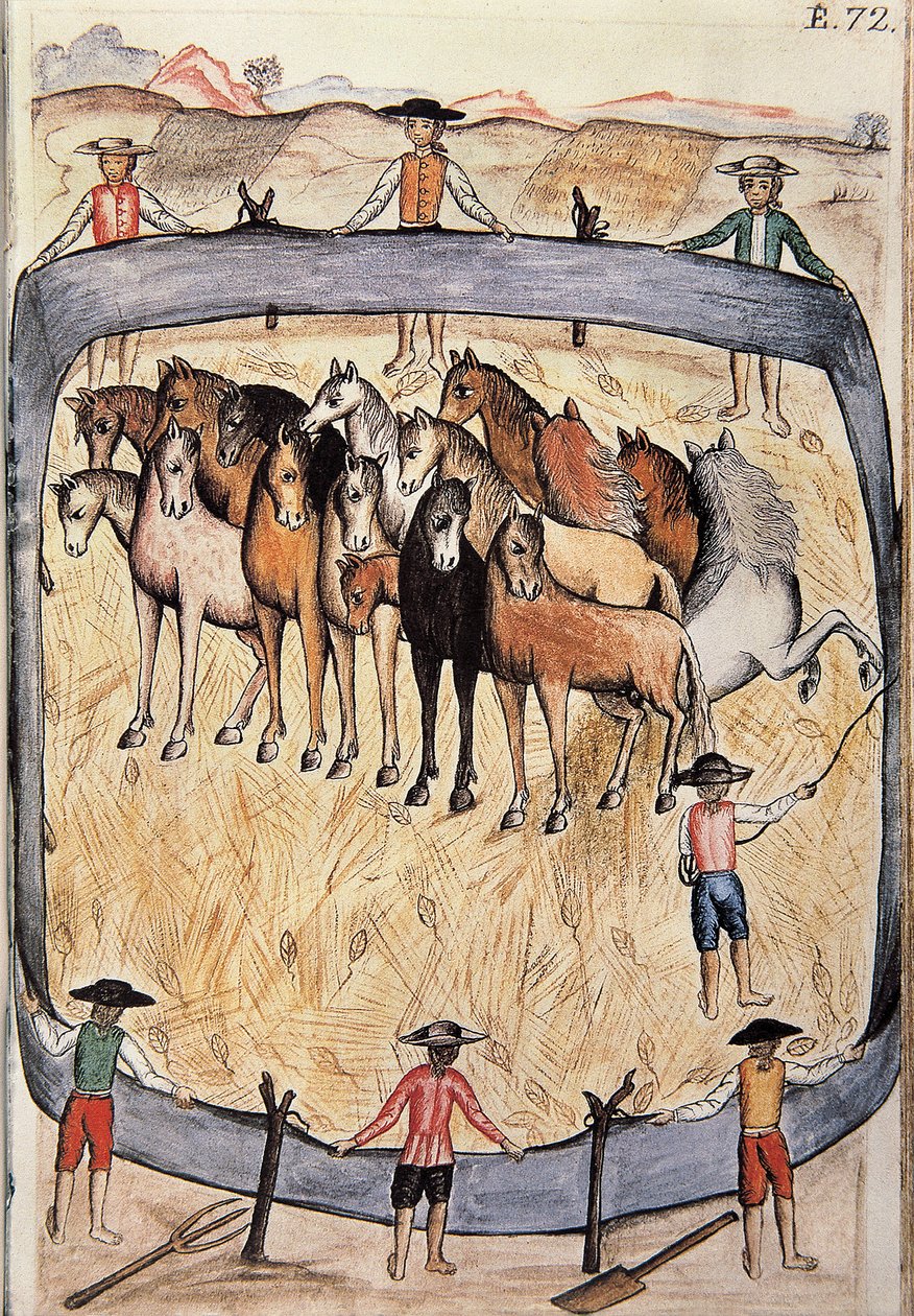 Dressur av ville hester, fra boken "Trujillo del Peru" eller "Codex Martinez Companion", av Baltazar Martinez Companion og Bujanda, biskop av Trujillo (1782-1785) av Unknown artist