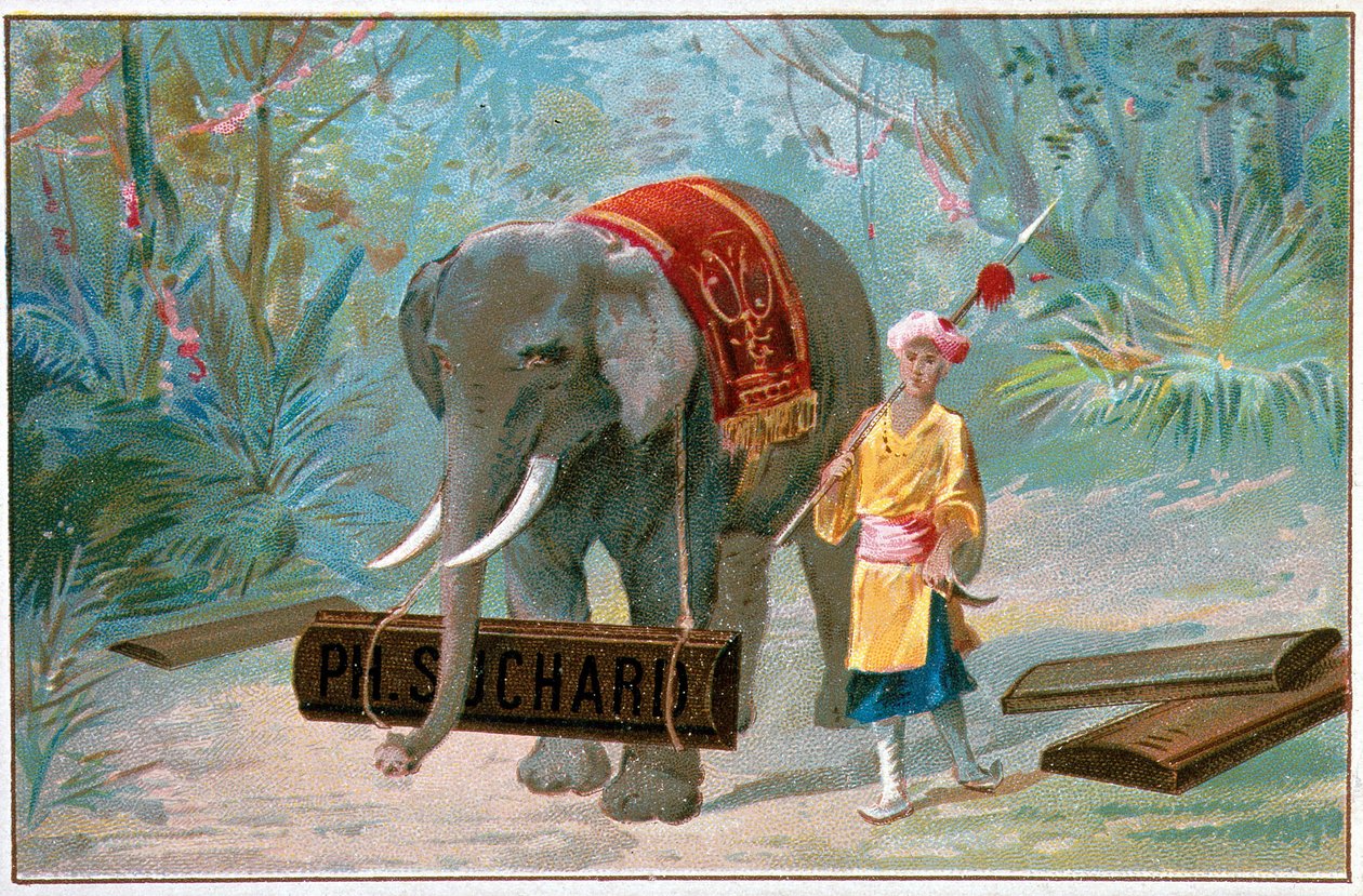 Elephant and Cornac, reklame for «Suchard», v. 1895 av Unknown artist