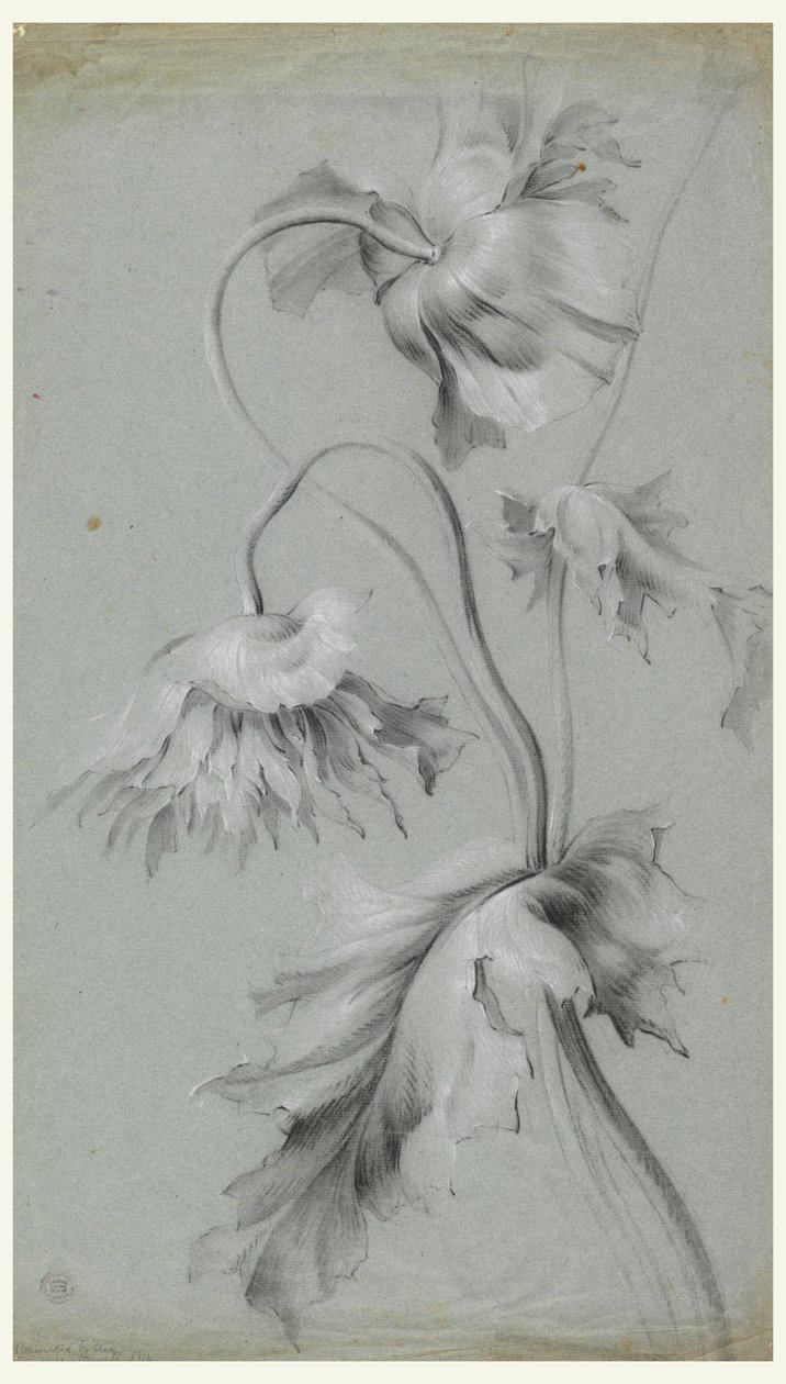Blomsterdesign av Unknown artist