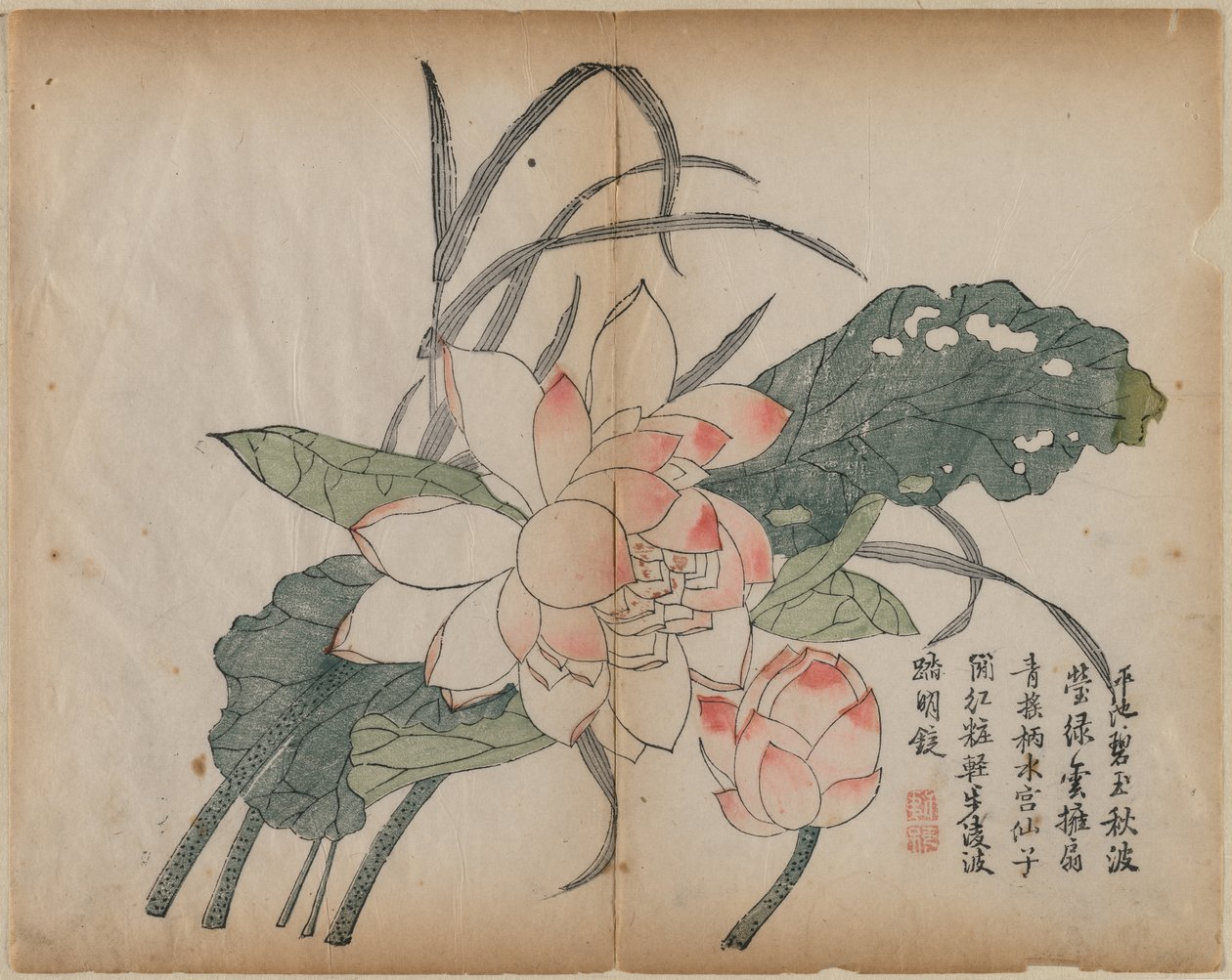 Blomstrende lotus og knopp av Unknown artist