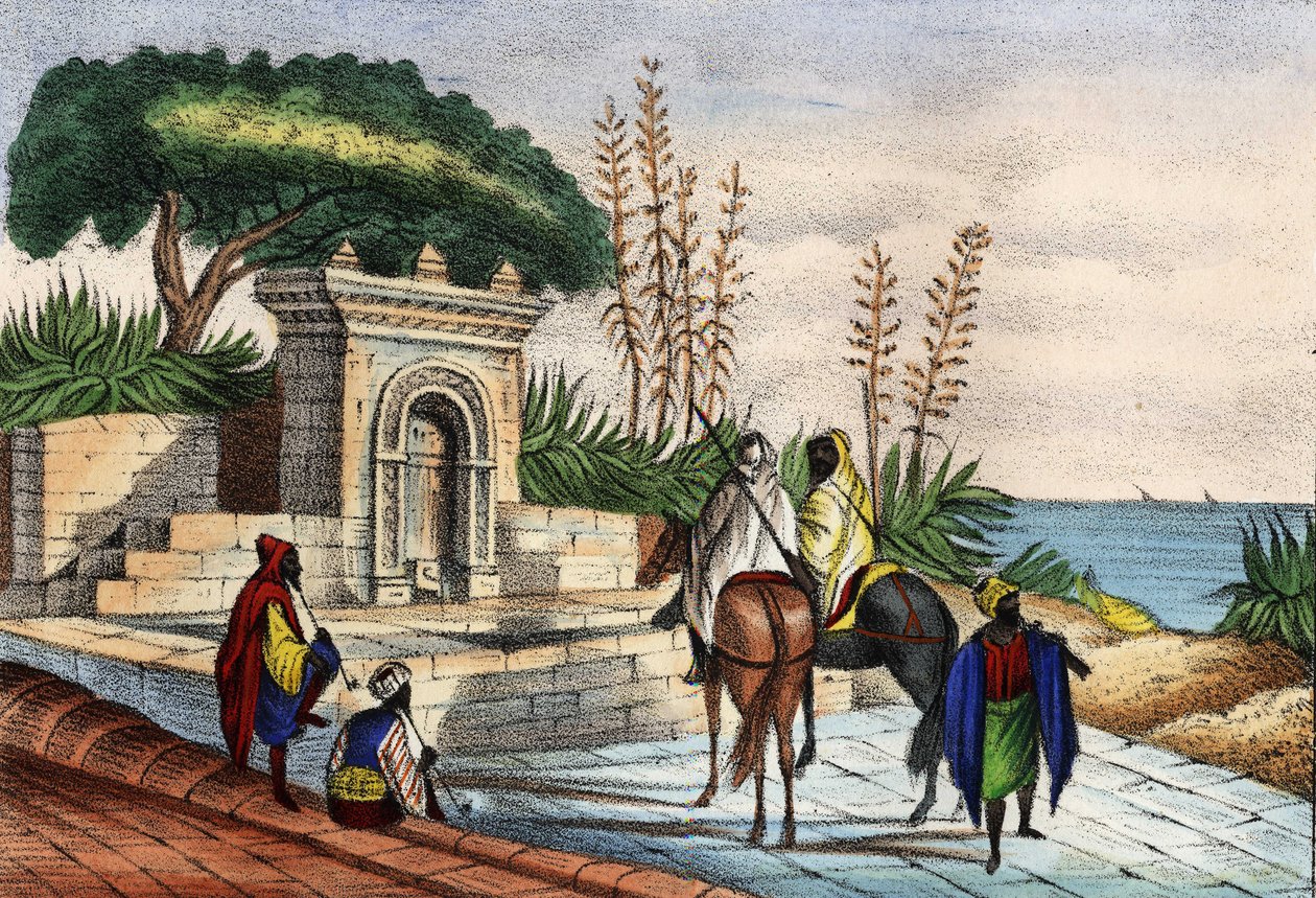 Fountain near Algiers av Unknown artist