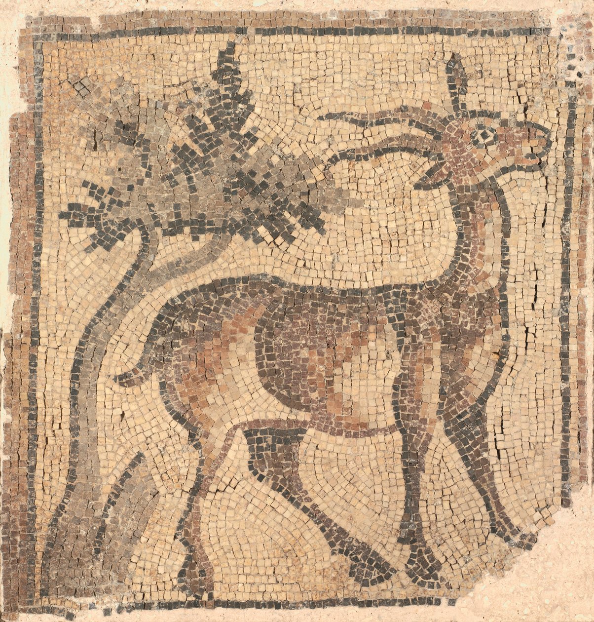 Fragment av en gulvmosaikk: Ibex nær et tre av Unknown artist