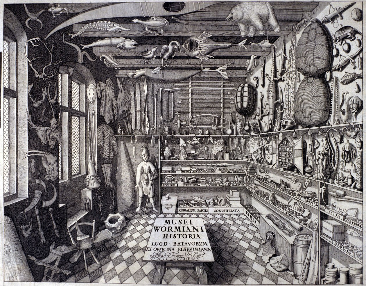Frontispice av "Musei Wormiani Historia"" som viser interiøret i kabinettet av kuriositeter til Ole Worm eller Olaus Wormius av Unknown artist