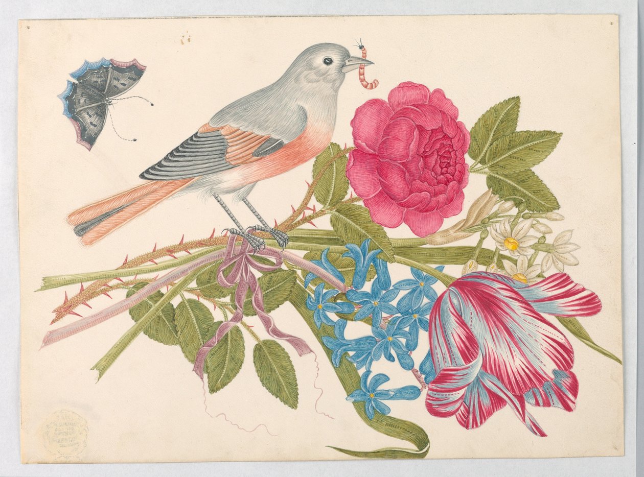 Grå og korallfugl på bukett med roser, tulipaner, tusenfryd og forglemmegei, med sommerfugl av Unknown artist