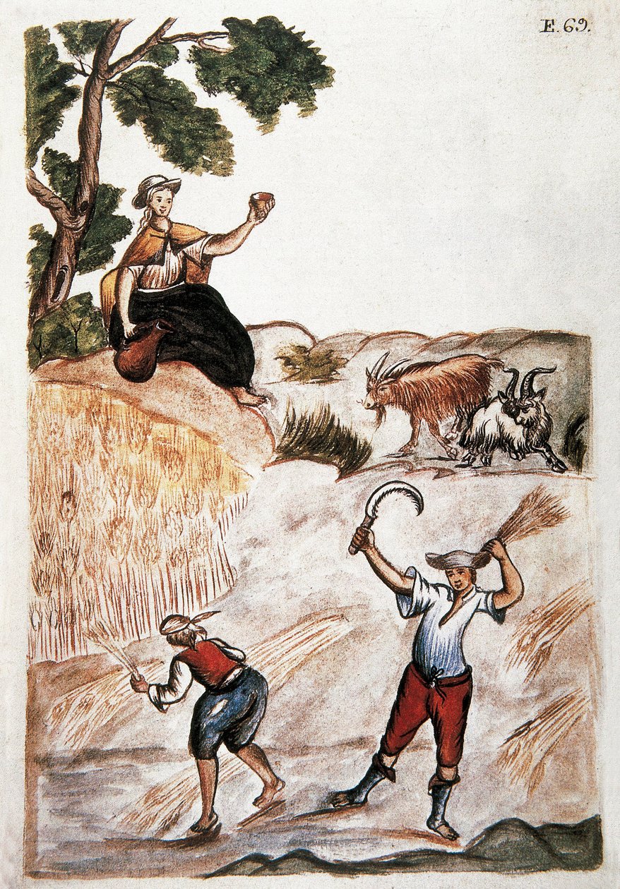 Harvests, indianere fra Peru som jobber på åkrene. Akvarell fra 1700-tallets Madrid. Biblioteca del Palacio Real av Unknown artist