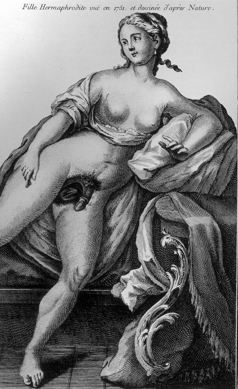 Hermafroditt-jente sett i 1751 og hentet fra naturen. av Unknown artist