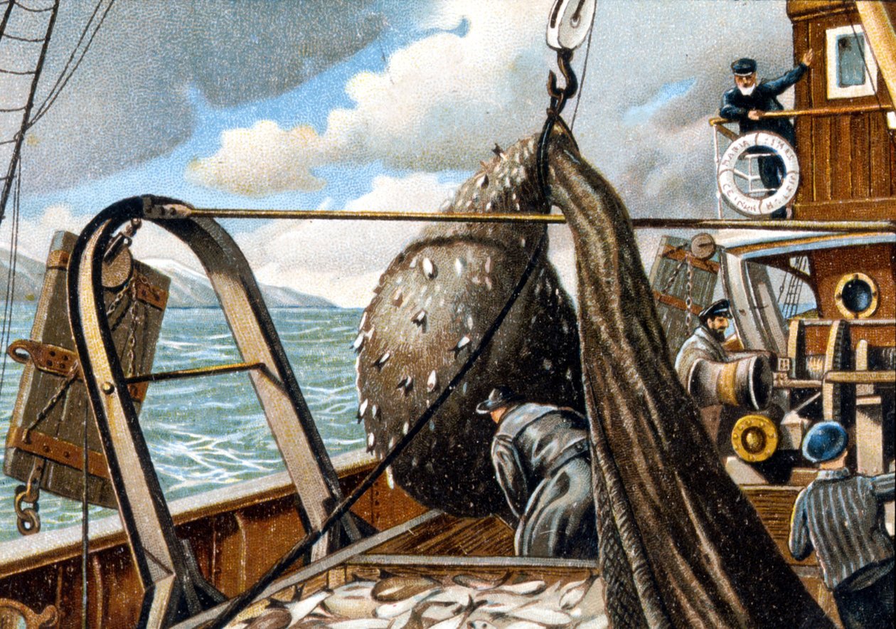 Sildefiske: heving av garnet på båten. Slutten av 1800-tallet. av Unknown artist