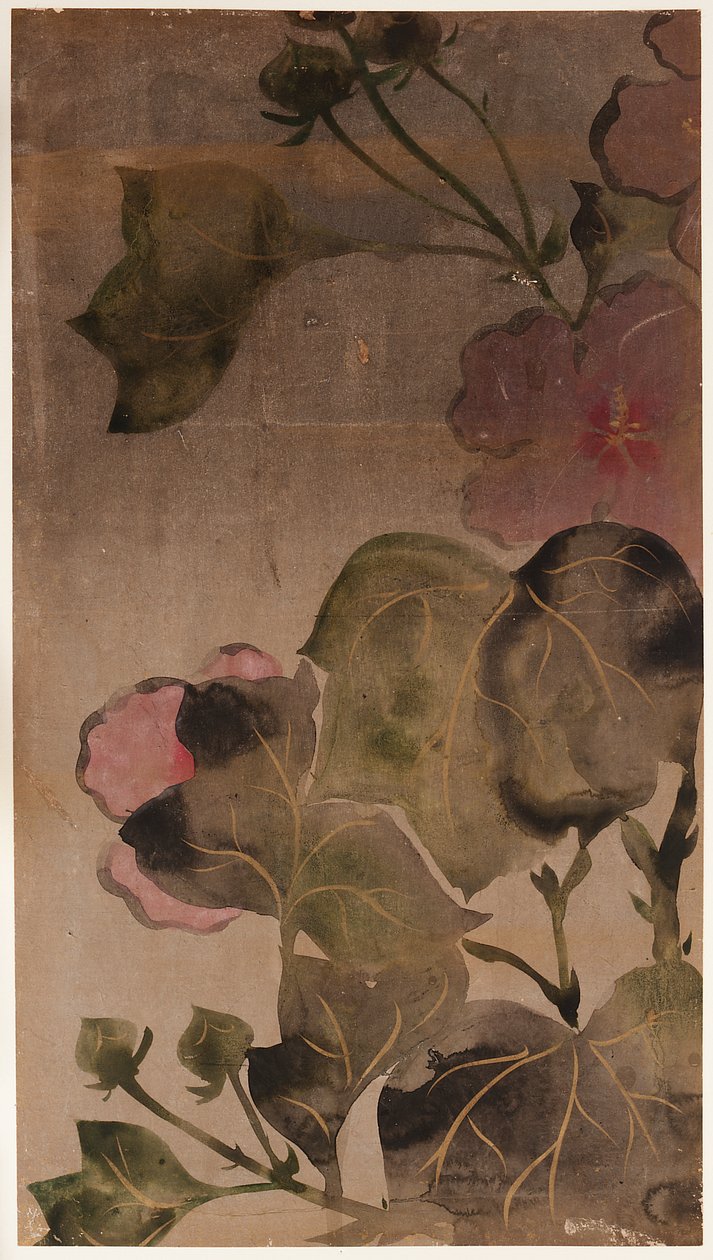 Hibiscus blomster og blader av Unknown artist