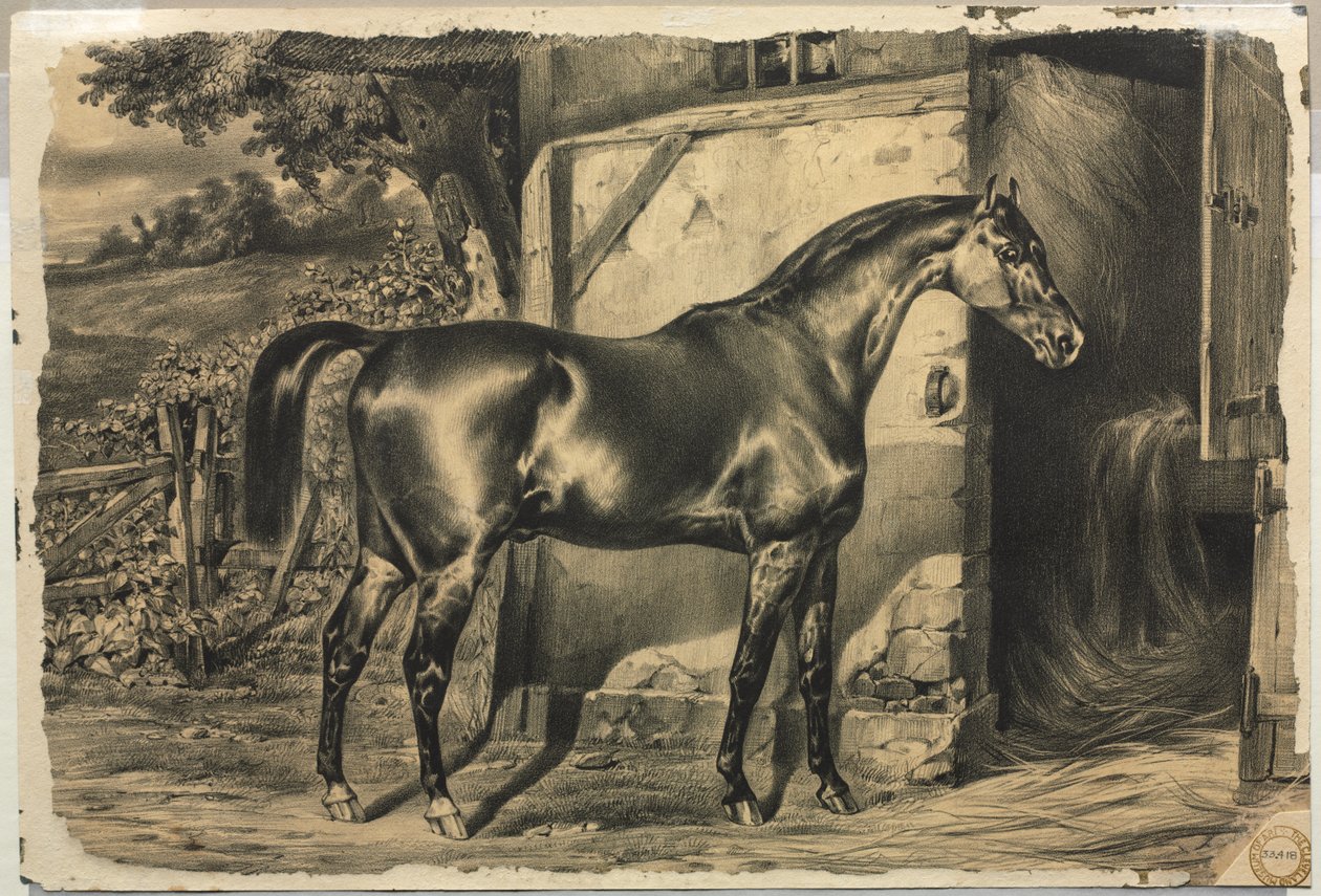 Hest foran en låve (verso) av Unknown artist