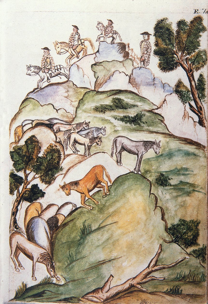 Boken "Trujillo del Peru" eller "Codex Martinez Companion", av Baltazar Martinez Companion og Bujanda, biskop av Trujillo (1782-1785) av Unknown artist