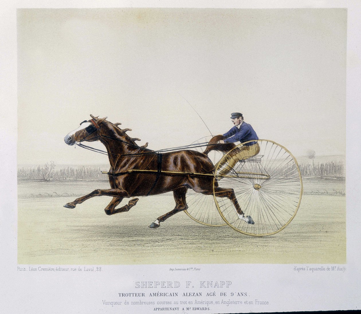 Ridning: Shepherd F. Knapp, traver - i "" the centaur"" av Unknown artist