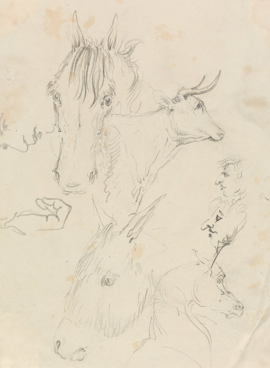Hester, ku og menn av Unknown artist