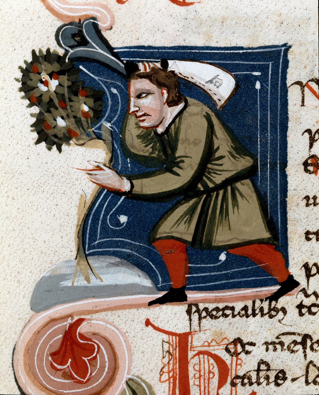 Hagebruk: potting et tre. Detalj. Manuskriptside (MS.s.vi) "" Agrarian Treat "" av Pietro de Crescenzi (Crescent Stone eller Crescens Stone) (1233-1320) 1300-tallet Cesena, Biblioteca Malatestiana av Unknown artist