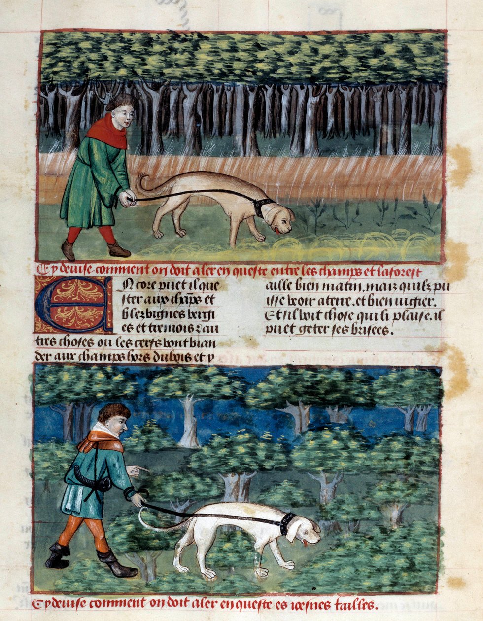 Hvordan oppføre hunder Miniatyr hentet fra "" The book of hunting""" av Gaston III Phoebus, greve av Foix, Lord of Bearn (1331-1391) av Unknown artist