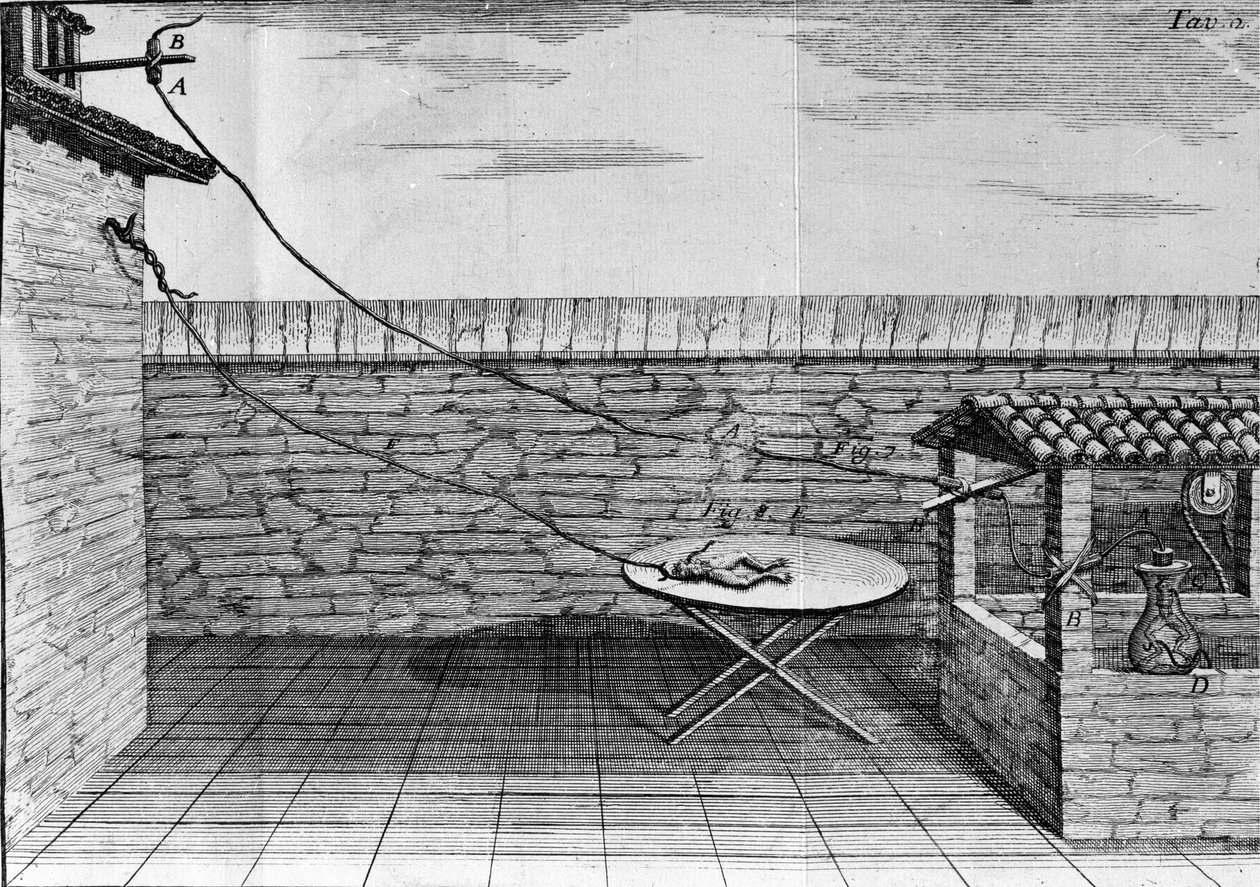 Illustrasjon av eksperimenter av Luigi Galvani, italiensk fysiker og lege (1737 - 1798) som forklarer passasjen av elektrisk strøm som beveger bena til en frosk. av Unknown artist