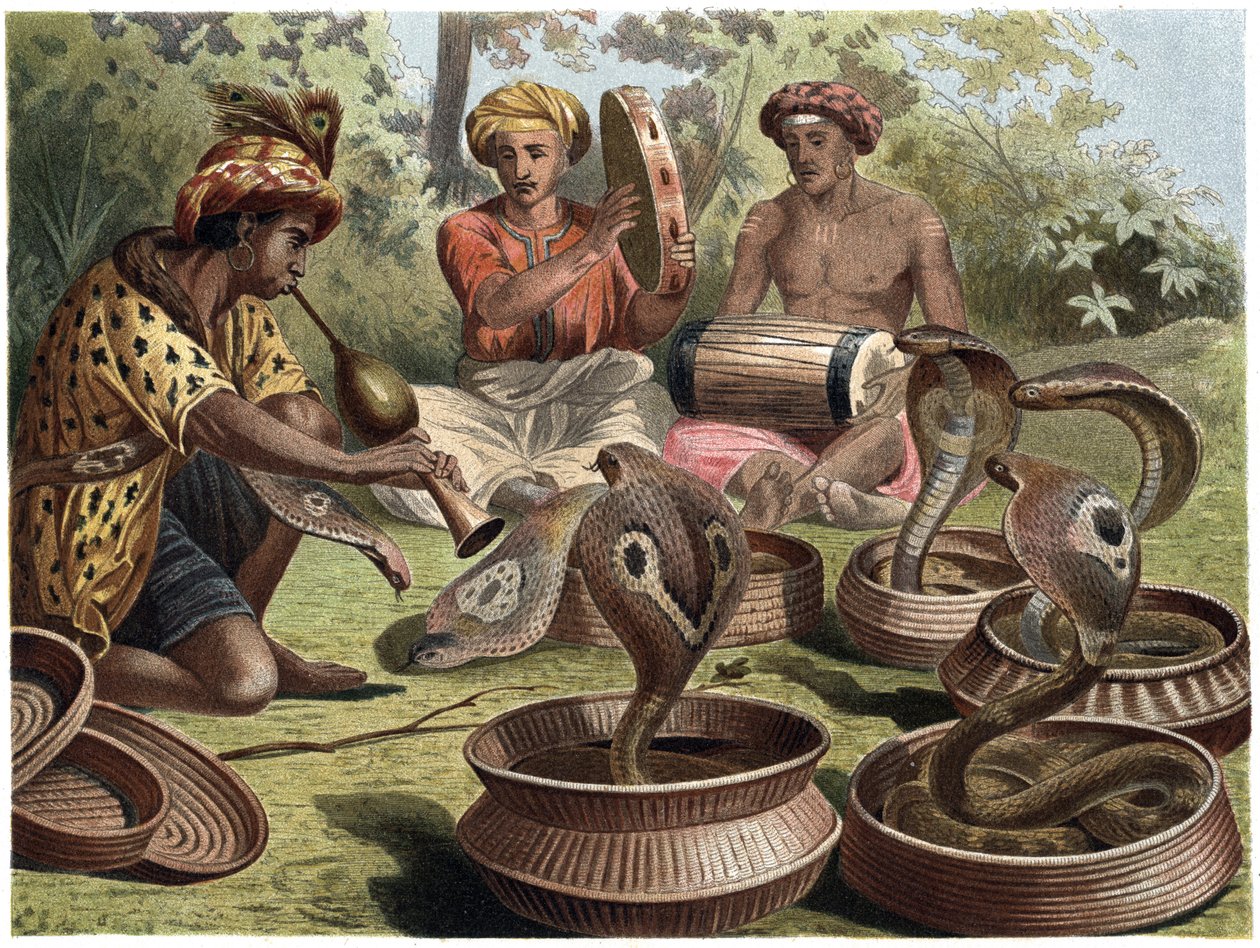 Indian Cobra - Den indiske kobraen av Unknown artist