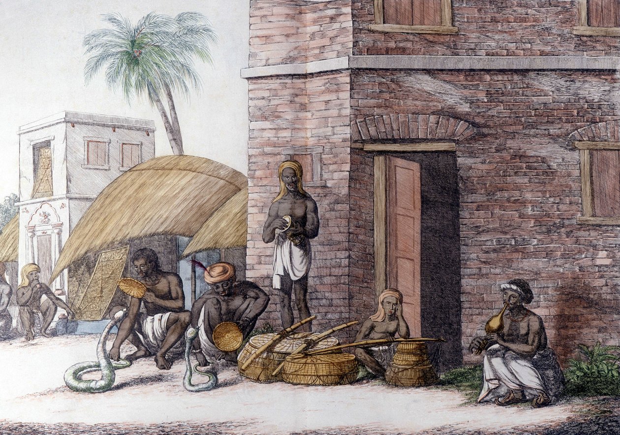 Indisk kultur og sivilisasjon: Slangesjarmere i India. av Unknown artist