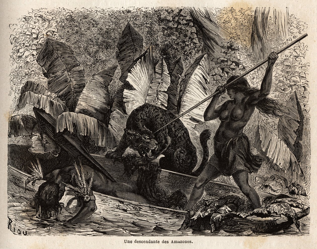 Indisk ticuna (Peru) angriper med et spyd en tiger som nettopp hoppet inn i kanoen hans og skadet kameraten hans, ticunaene i Nhamondas-elven er kjent for sine krigerkoner, så de første reisende og lærde som observerte dem kalte dem amasoner. av Unknown artist