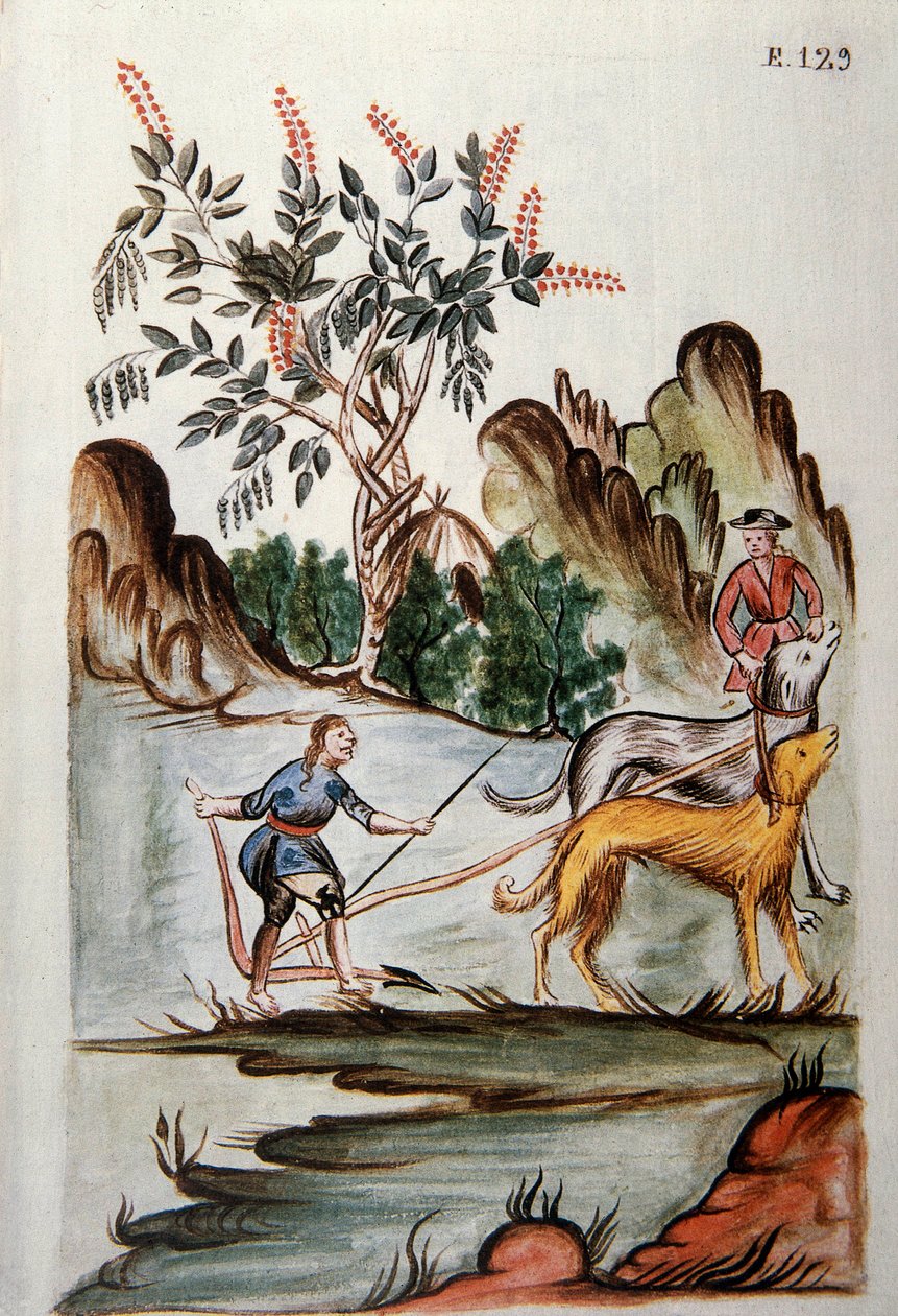 Indianere som pløyer en åker med hunder, fra boken "Trujillo del Peru" eller "Codex Martinez Companion", av Baltazar Martinez Companion og Bujanda, biskop av Trujillo (1782-1785) av Unknown artist
