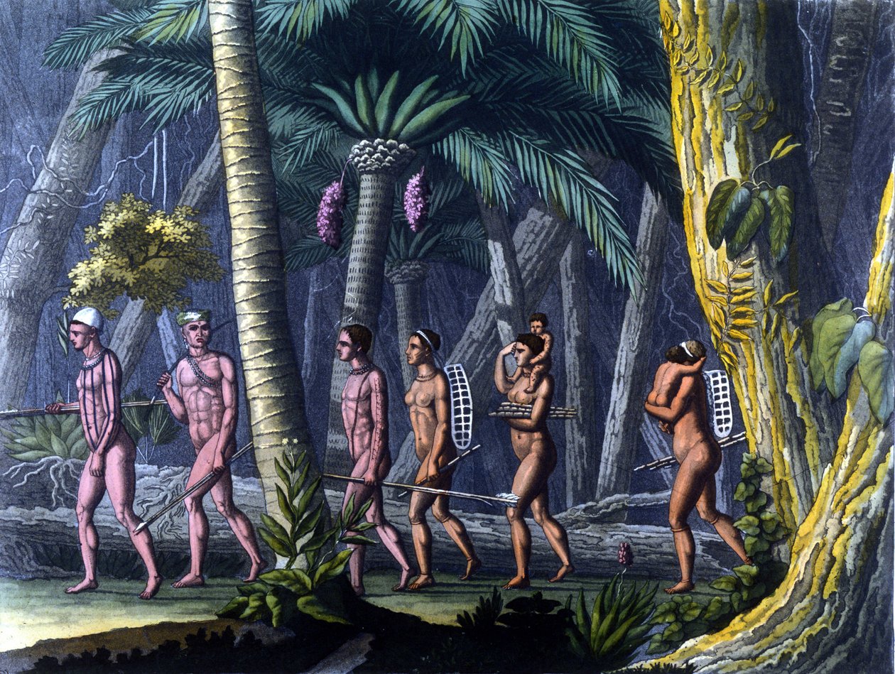 Puris-indianere i skogen (Brasil) - i "" Den eldgamle og moderne drakten"" av Ferrario, red. Milano av Unknown artist
