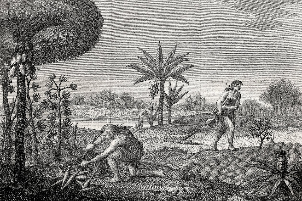 Urfolk som arbeider på landet i Orenoque-bassenget i Colombia. Gravering 1780 av Unknown artist
