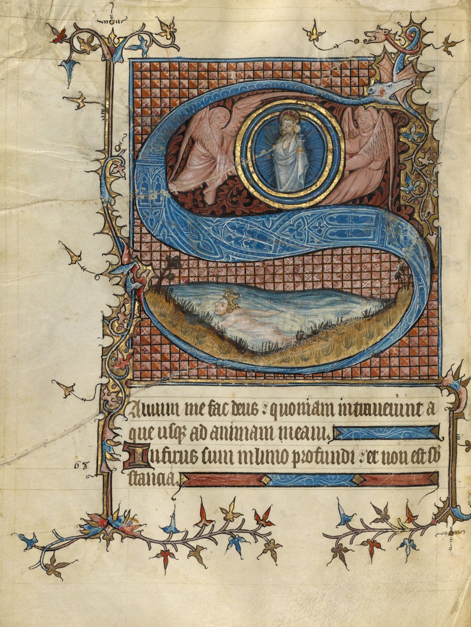 Initial S: David i vannet av Unknown artist