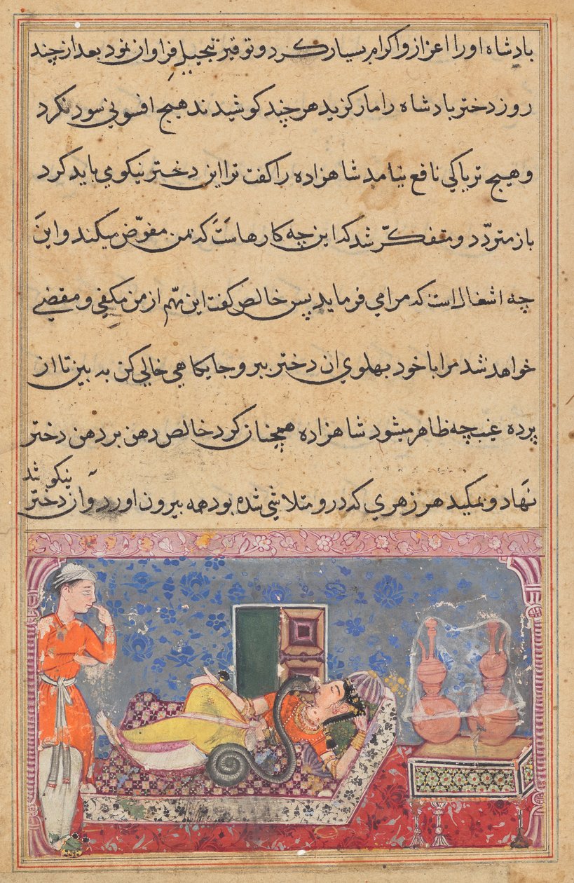 Khalis gjengjelder prinsen for hans godhet ved å forandre seg til en slange og suge giften fra kongens datter, fra en Tuti-nama (Tales of a Parrot): Attende natt av Unknown artist