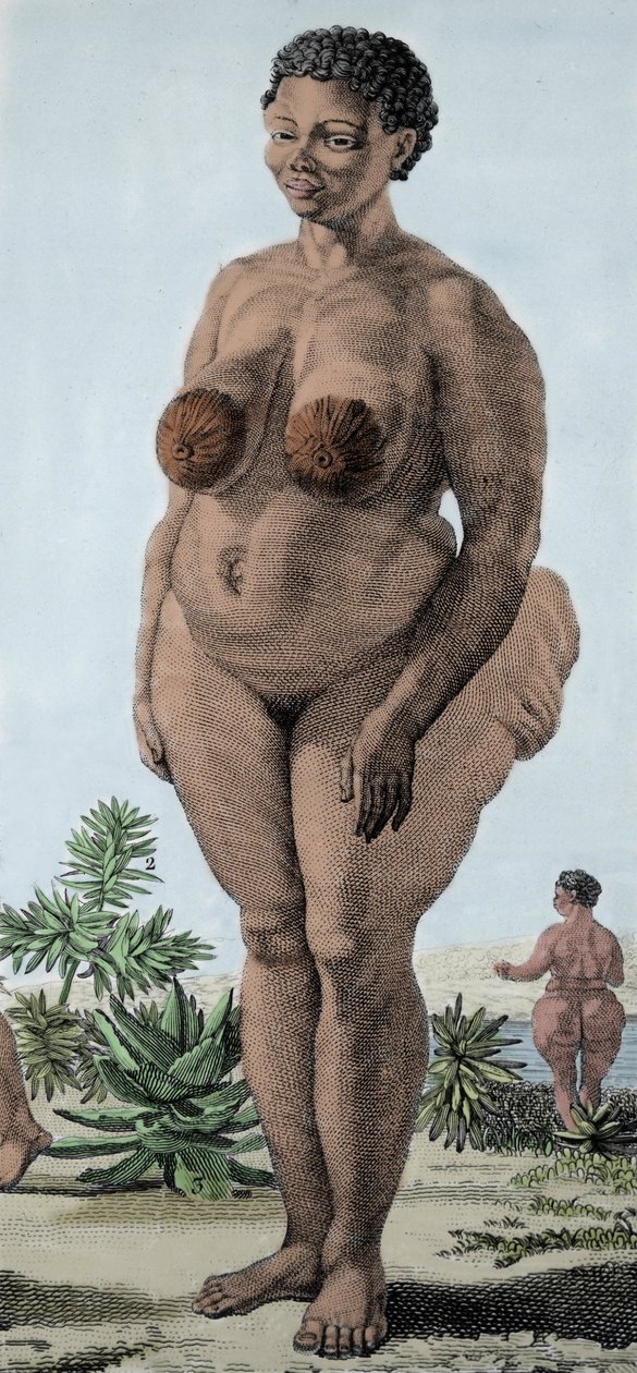 La Venus Hottentote, kvinne av rasen Bochiman; (The Hottentot Venus,) gravering fra 1815. av Unknown artist