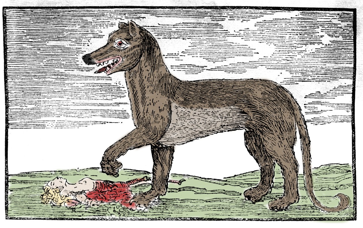La bete du Gevaudan Gravering fra "Saint James