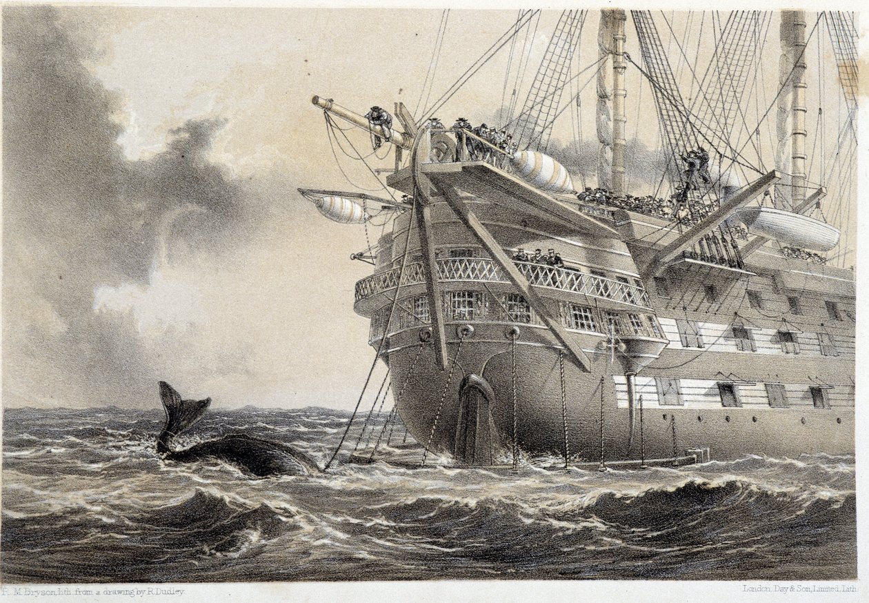 Legger den atlantiske telegrafkabelen, en hval rundt båten av Unknown artist