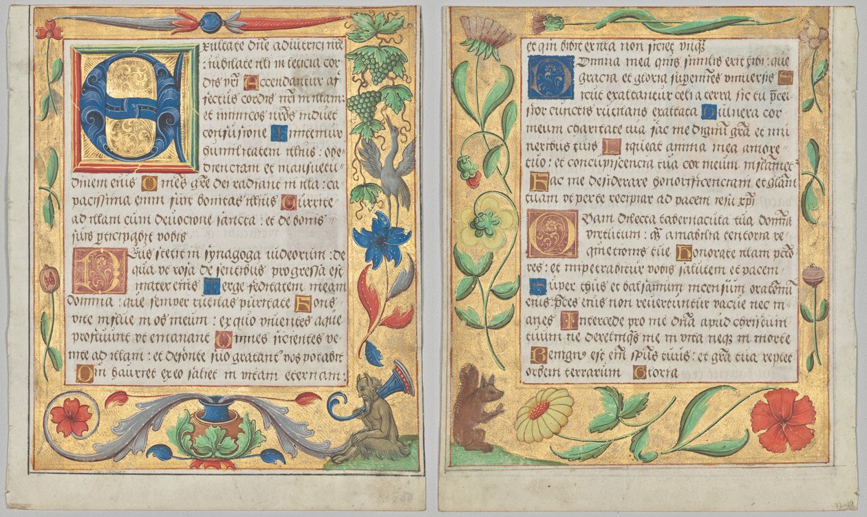 Blad fra en psalter og bønnebok: Initial E med dekorativ kant som inneholder en sittende satyr og en fugl som spiser druer (recto) og ornamental kant med blomster og ekorn (verso) (2 av 3 utskårne blader) av Unknown artist
