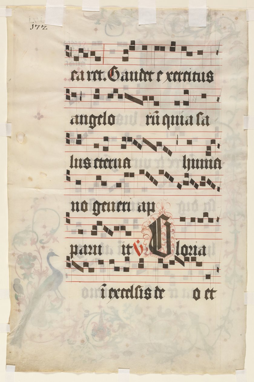 Leaf from an Antiphonary: Tekst (verso) av Unknown artist